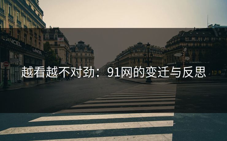 越看越不对劲：91网的变迁与反思